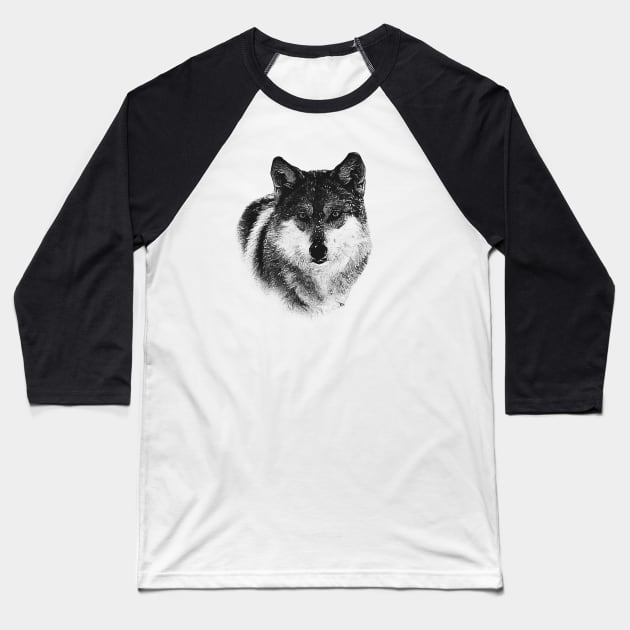 Wolf portrait Baseball T-Shirt by Guardi